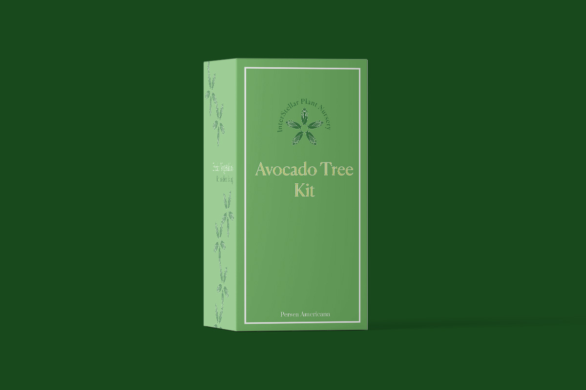 Front face of a package design for an Avocado Tree Kit. The box is green and the type is yellow.